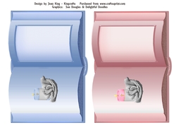 Inserts for both Baby Boy and Baby Girl Book card