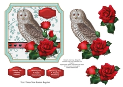 Owl and Roses
