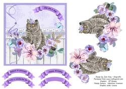 Lavender flowers and cat