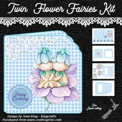 Twin Fairys