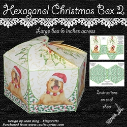 Hexaganol Christmas Box 2
