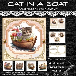 Cat in boat 1