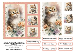Family of cats 1