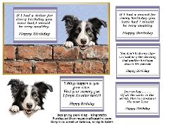 Border Collie funny card