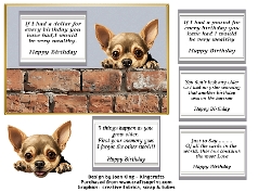 Chihuahua funny card