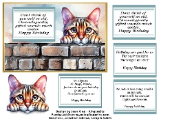 Bengal cat funny card
