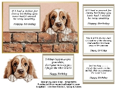 Cocker spaniel funny card