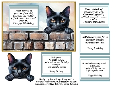 Image of cup1379034_1716 - Black cat funny card