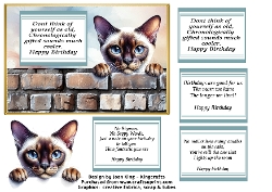 Burmese cat funny card