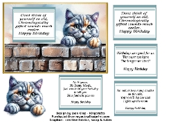 Chartreux cat funny card