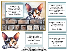 Cornish Rex funny birthday