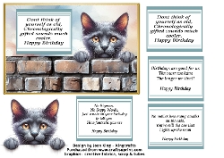 Grey cat funny birthday