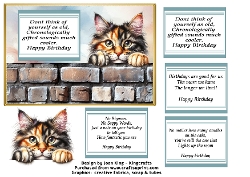 Manx funny birthday