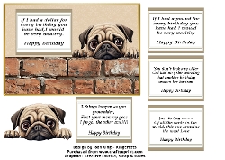 cup1379371_1716 - Pug Funny Birthday