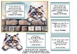 Ragdoll funny birthday