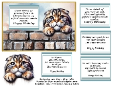Scottish fold funny birthday
