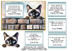 Siamese funny birthday