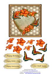 Orange Hibiscus in Frame