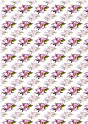 Pink Floral Hibiscus