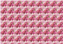 Pink Flowers