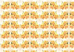 Orange Flowers