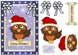 Merry Christmas Owl
