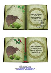 Christmas & Birthday Booksheets - Kiwi