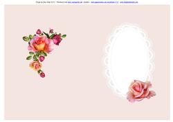 Pink Toned Inserts for Women All Occasions