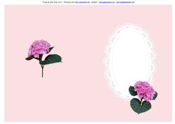 Pink Toned Inserts for Women All Occasions