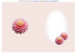 Pink Toned Inserts for Women All Occasions