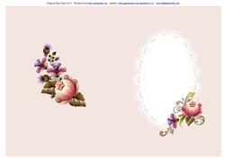 Pink Toned Inserts for Women All Occasions