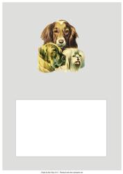 Set of 16 Male Landscape A5 Inserts