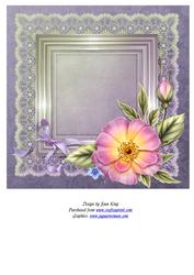 Set of 12 8" Square Inserts for Ladies