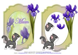 Cat Amongst the Iris