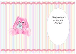 Plushie Insert for New Baby