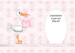 Stork and Baby Girl Insert