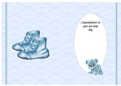 New Baby Boy with Shoes and Plushie