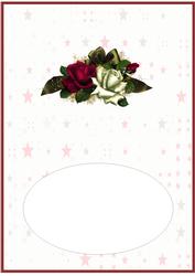 Red and White Roses Insert