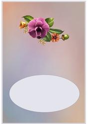 Camillia Insert