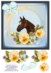 Summer Pansies