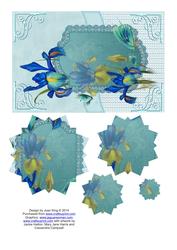 Dutch Iris Starburst Pyramage