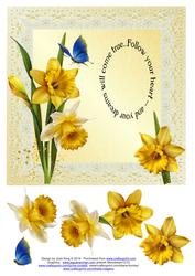 Daffodils