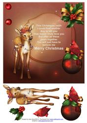 Fawns Christmas Message