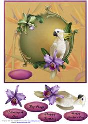 Tropical Bird