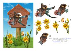 Spring Time Bird 1