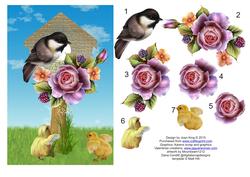 Spring Time Bird 3