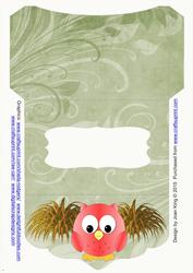 Owl Money Wallet Envelope