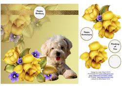 Dog & Yellow Roses