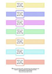 Ribbon Wrap with With Love on Your Special Day 6 Inch