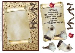 Cats 1